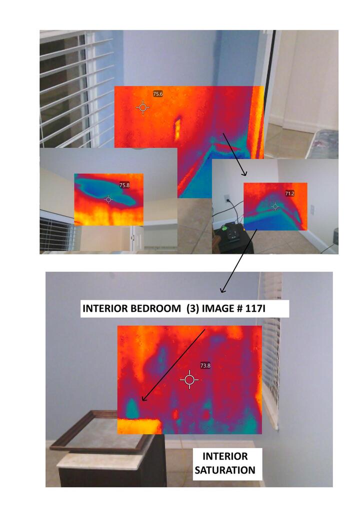 MOISTURE IN WALLS - MOLD