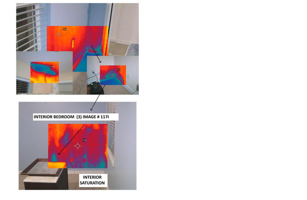 IS MOLD DANGEROUS