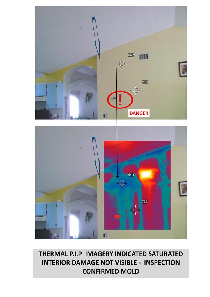 MOLD AND MOISTURE THE $100,000 MISTAKE FLORIDA OR WORSE
