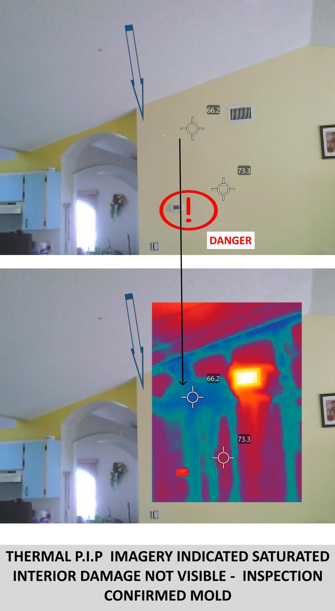 thermal P.I.P imagery indicated saturated itnerior damage not visble - inspection confirmed mold